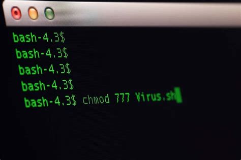 chown 777|unix permissions 777.